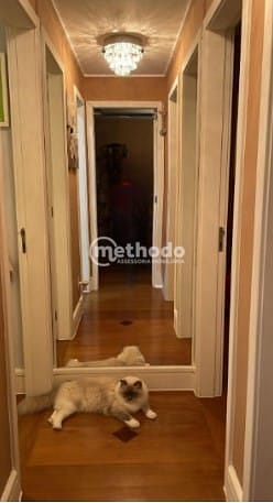 Cobertura, 3 quartos, 230 m² - Foto 42