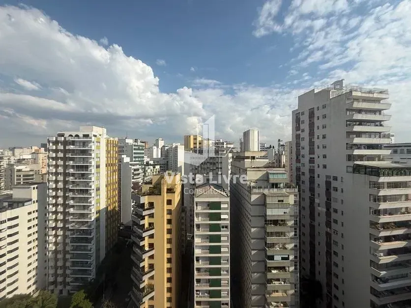 Cobertura, 4 quartos, 480 m² - Foto 14