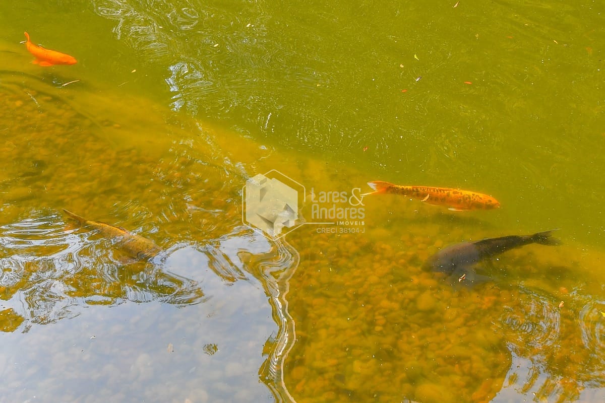 Cobertura, 4 quartos, 305 m² - Foto 83