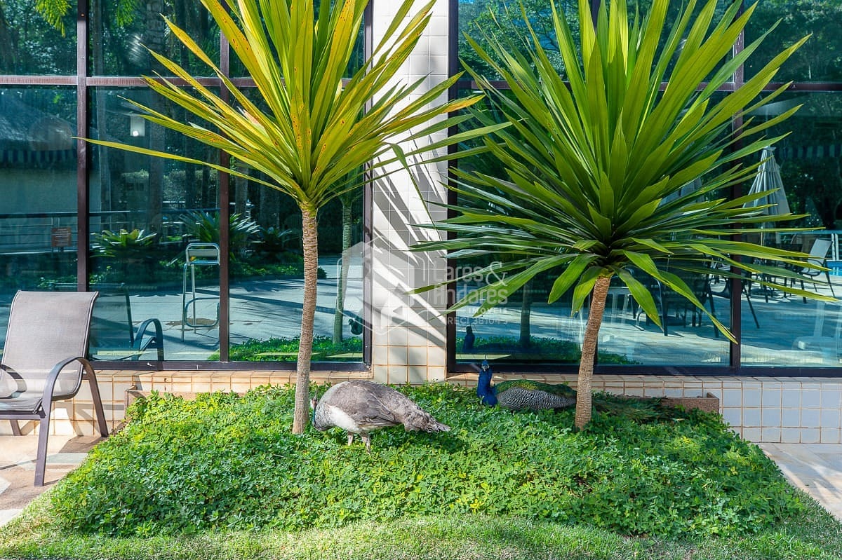 Cobertura, 4 quartos, 305 m² - Foto 47