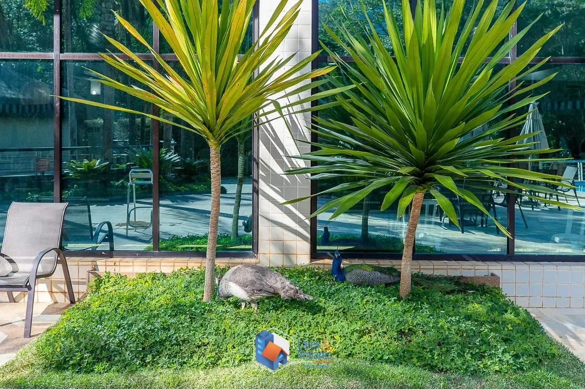Cobertura, 4 quartos, 305 m² - Foto 47