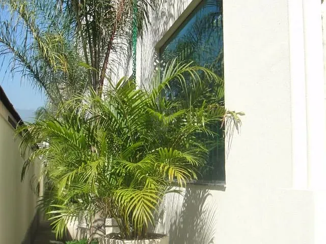 Prédio com 5580m², à venda, no bairro São Cristóvão em Rio de Janeiro