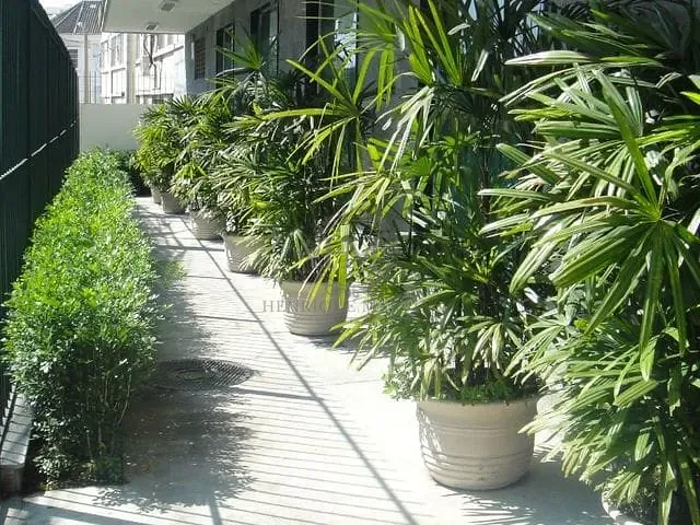 Prédio com 5580m², à venda, no bairro São Cristóvão em Rio de Janeiro