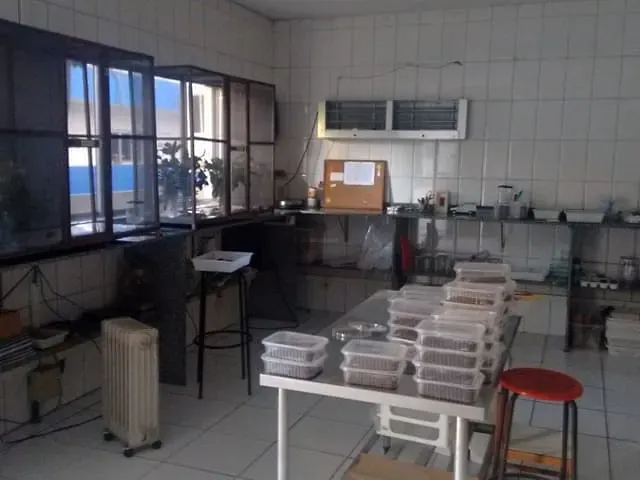 Prédio para alugar, no bairro Nova Petrópolis em São Bernardo do Campo