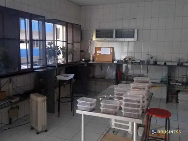 Prédio para alugar, no bairro Nova Petrópolis em São Bernardo do Campo