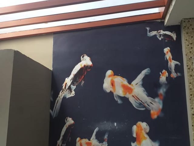 Foto do Prédio - Prédio para locação com 4 salas, Aclimação, São Paulo, SP | Vieira Imóveis