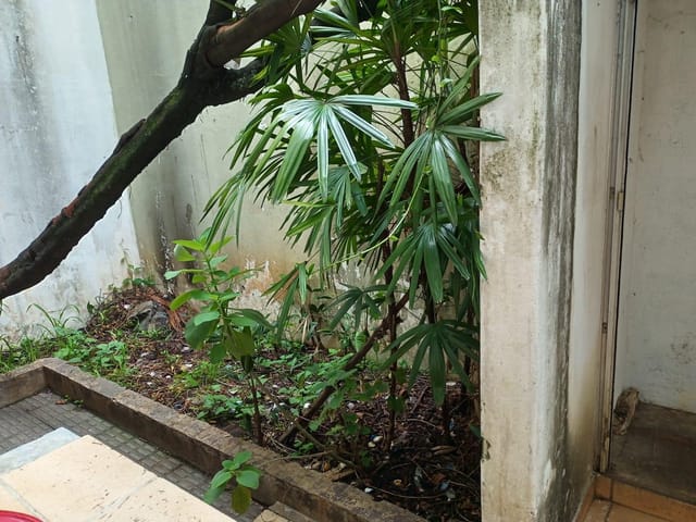 Prédio para alugar, no bairro Cambuci em São Paulo