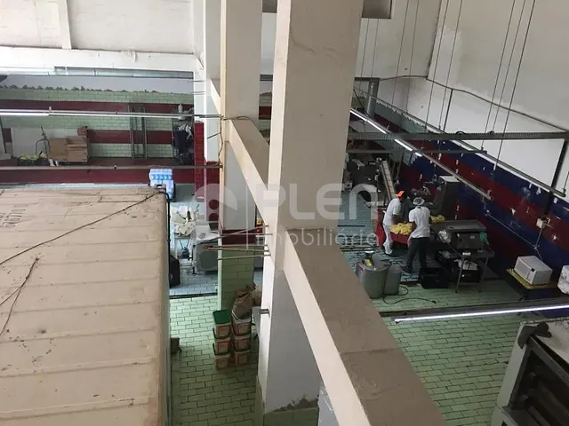 Prédio com 498m², à venda, no bairro Parque Novo Mundo em São Paulo