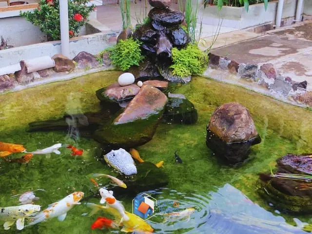 Prédio com 1180m², à venda, no bairro Jardim Nova Aparecida em Jaboticabal