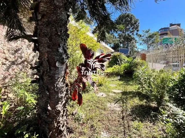Prédio com 548m², para alugar, no bairro Alto da Glória em Curitiba