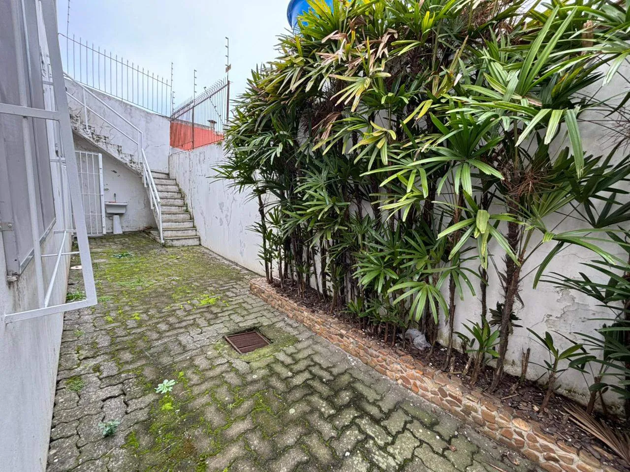 Prédio comercial à venda na Av. Salgado Filho, Três Vendas - 218 m², salas amplas, ótima posição solar e excelente visibilidade. - 10