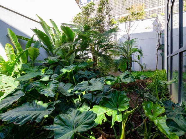 Prédio com 512m², à venda, no bairro Sumaré em São Paulo
