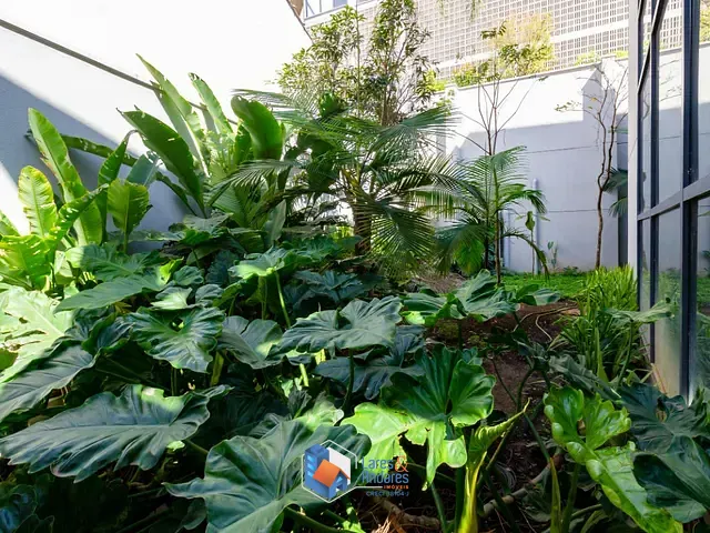 Prédio com 512m², à venda, no bairro Sumaré em São Paulo