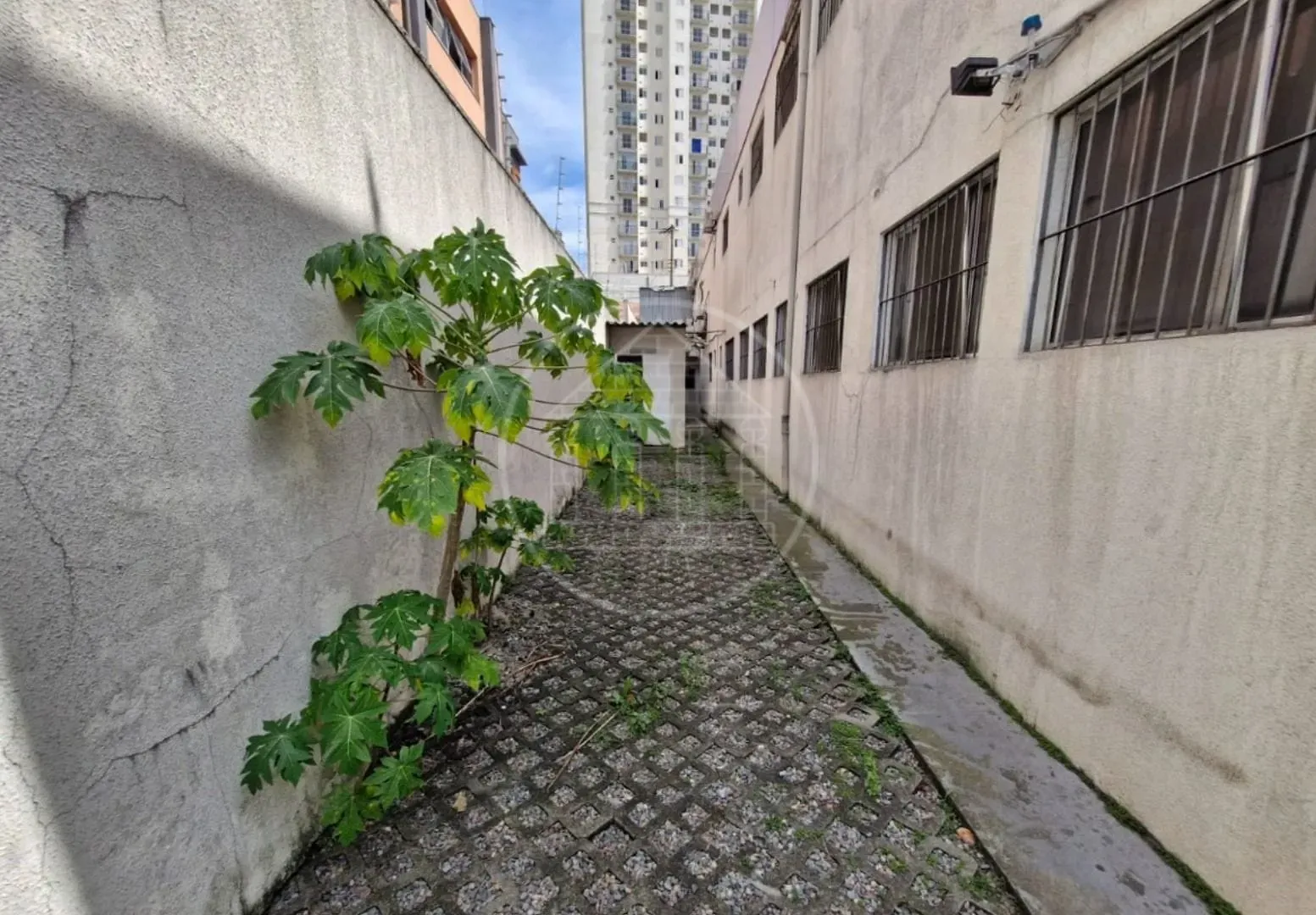 Prédio Inteiro, 1230 m² - Foto 24