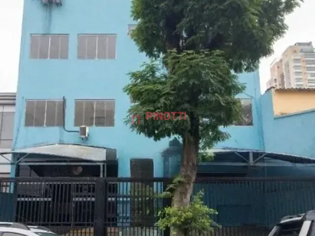 Prédio para alugar, no bairro Nova Petrópolis em São Bernardo do Campo
