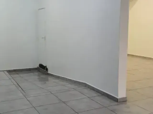 Ponto à venda ou para alugar, no bairro Parque Artur Alvim em São Paulo
