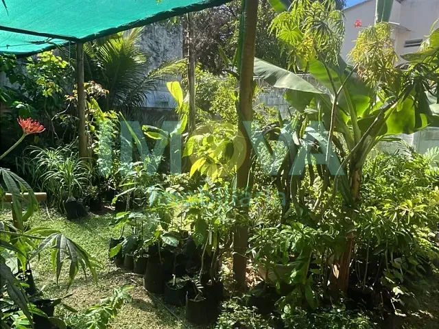 Casa com 550m² 2 quartos e 2 banheiros, à venda, no bairro Ponta Negra em Natal