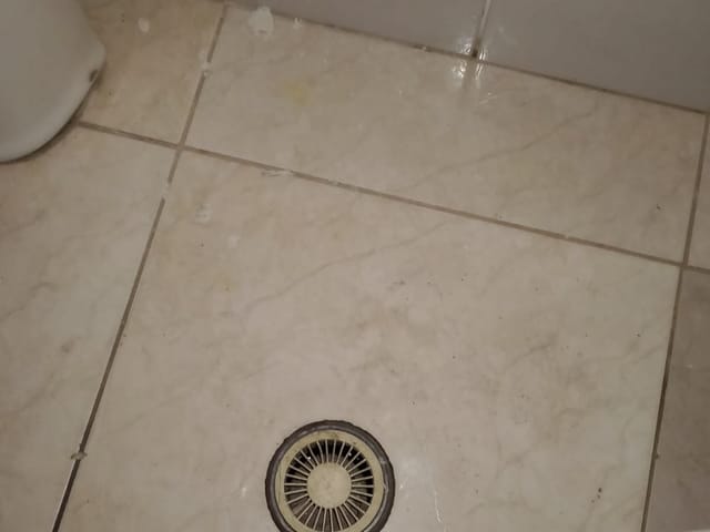 Loja para alugar, no bairro Jardim Brasil (Zona Norte) em São Paulo