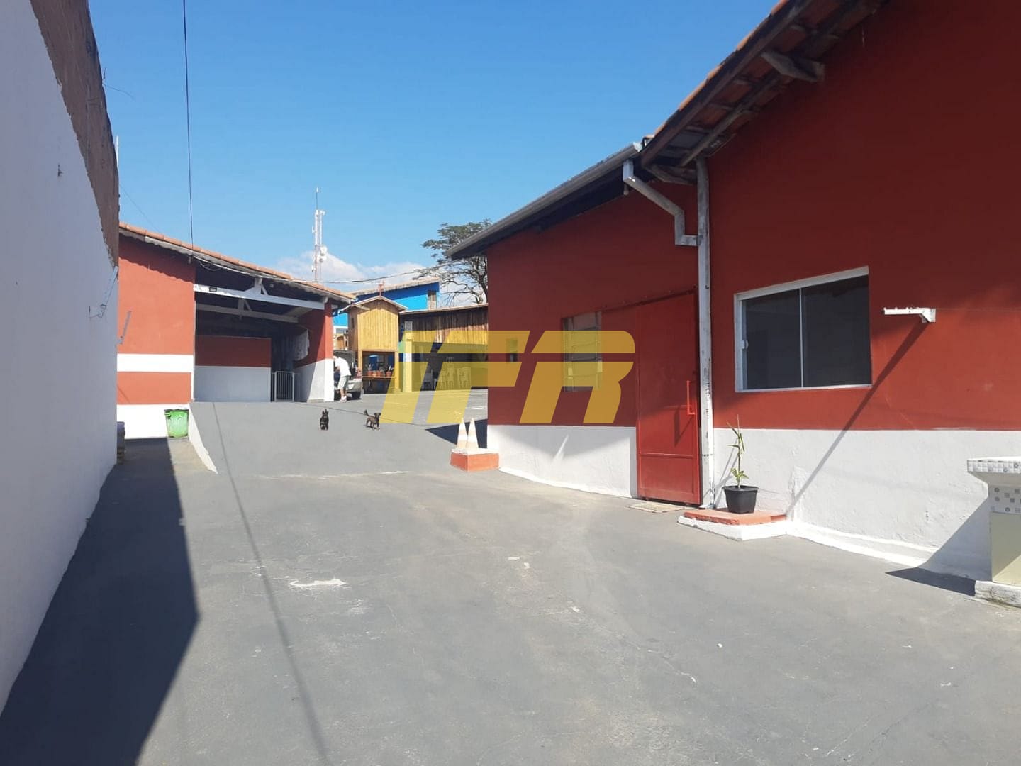 Loja-Salão, 800 m² - Foto 14