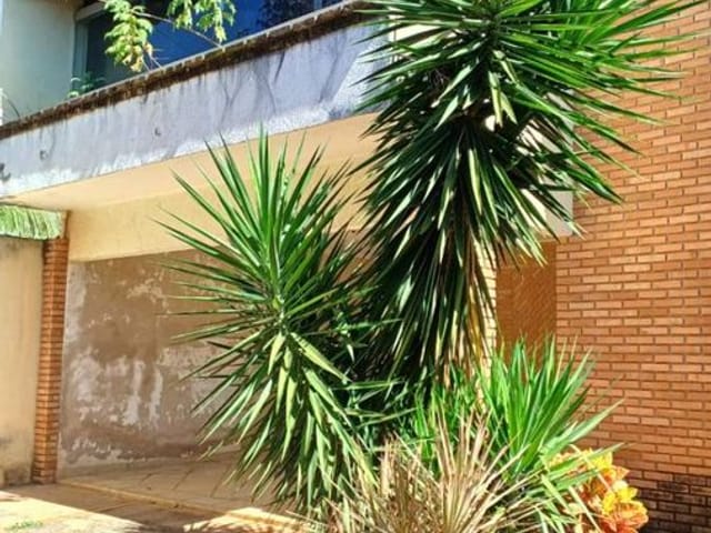 Foto do Ponto - Residencial ou Comercial Bosque das Vivendas | Roma Prime Imóveis