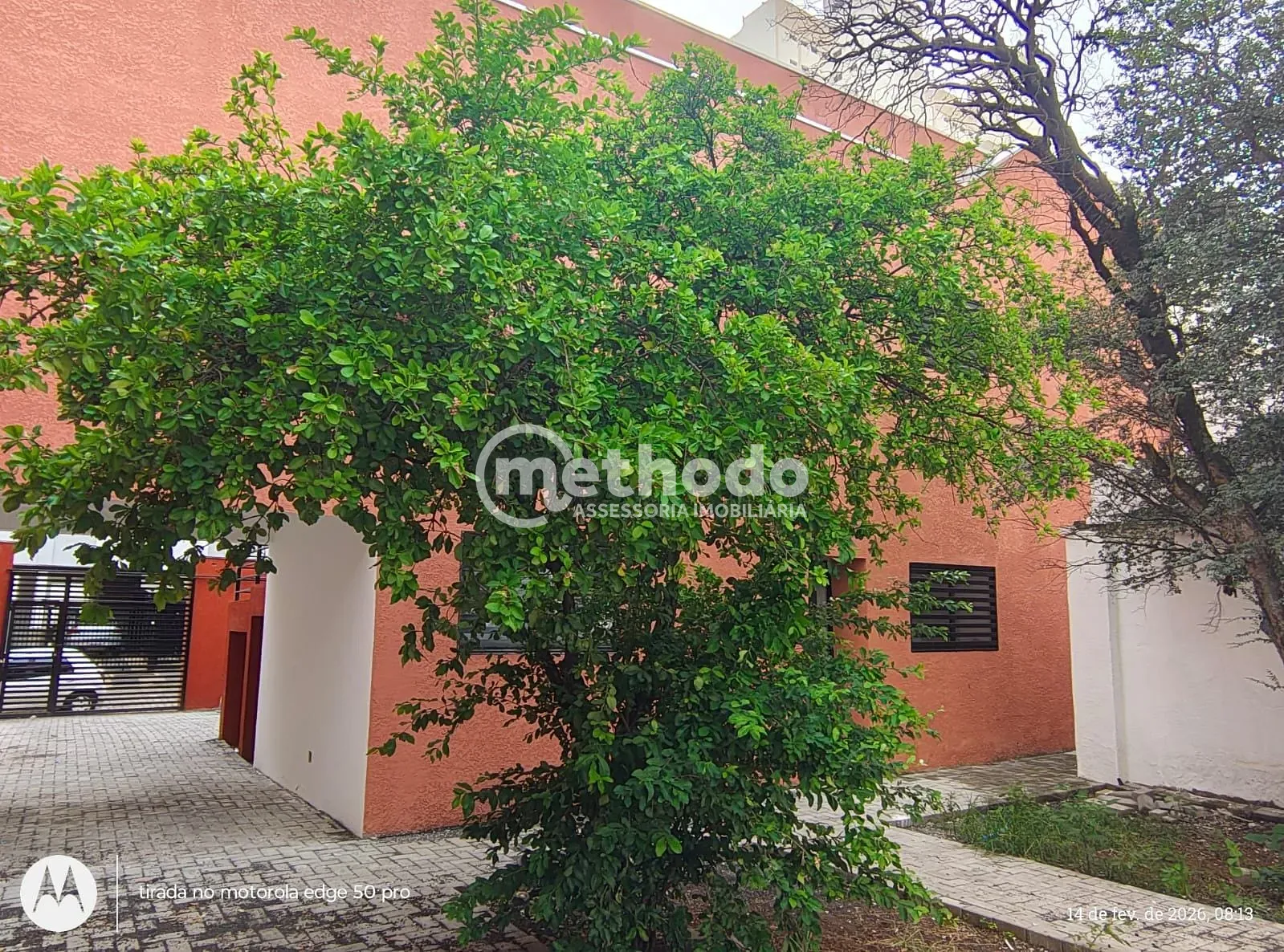 Loja-Salão, 300 m² - Foto 13