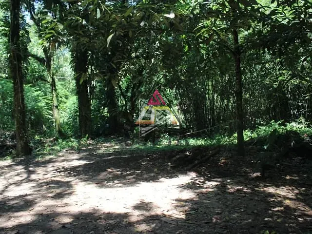 Rancho com 800m² 1 quarto e 2 banheiros, à venda, no bairro Pico (Santo Aleixo) em Magé