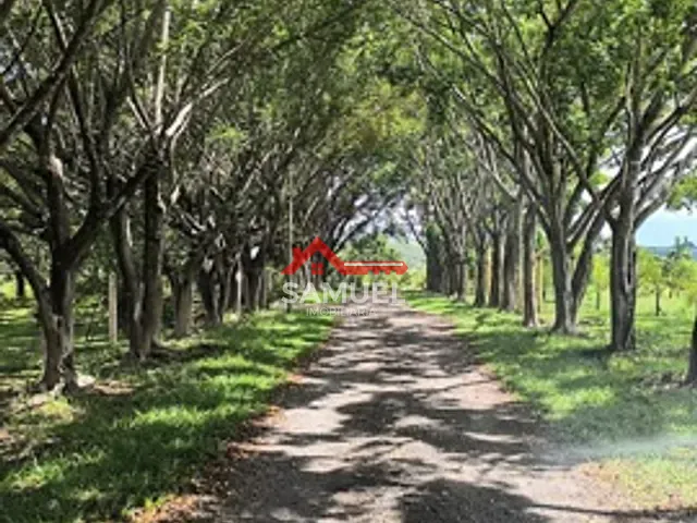 Rancho com 48000m² 6 quartos e 6 banheiros, à venda, no bairro próximo ao Villa Velutti em Brasília