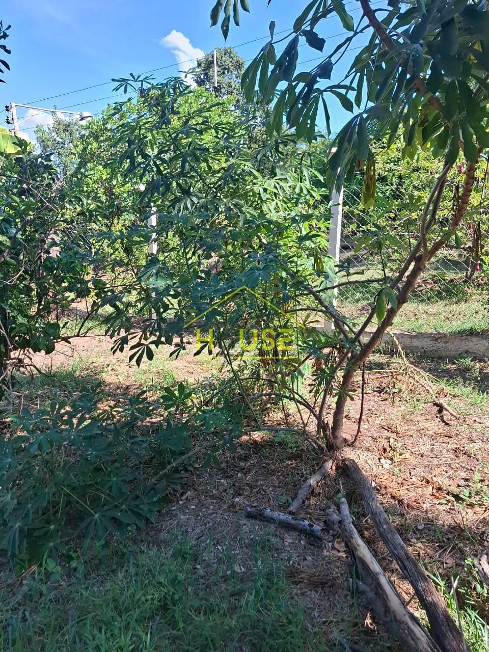 Apartamento para alugar com 2 quartos, 210m² - Foto 32