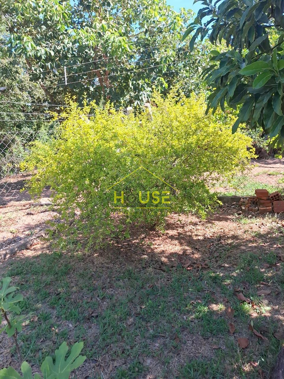 Apartamento para alugar com 2 quartos, 210m² - Foto 65