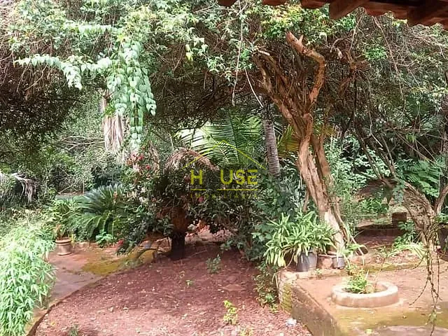 Rancho com 20000m² 3 quartos e 2 banheiros, à venda, no bairro Estância Tangará em Indiaporã