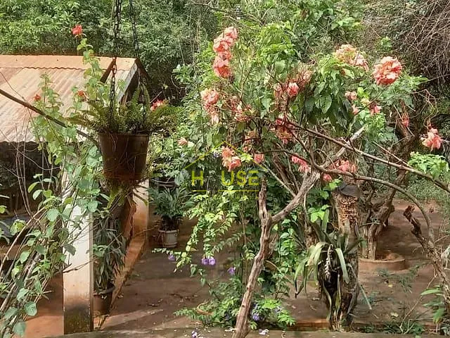 Rancho com 20000m² 3 quartos e 2 banheiros, à venda, no bairro Estância Tangará em Indiaporã