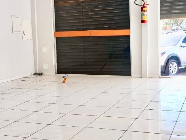 Sala para alugar, no bairro Centro em Cambé