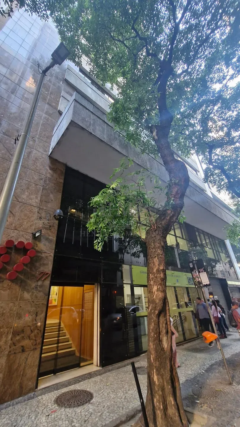 Sala-Conjunto, 305 m² - Foto 2