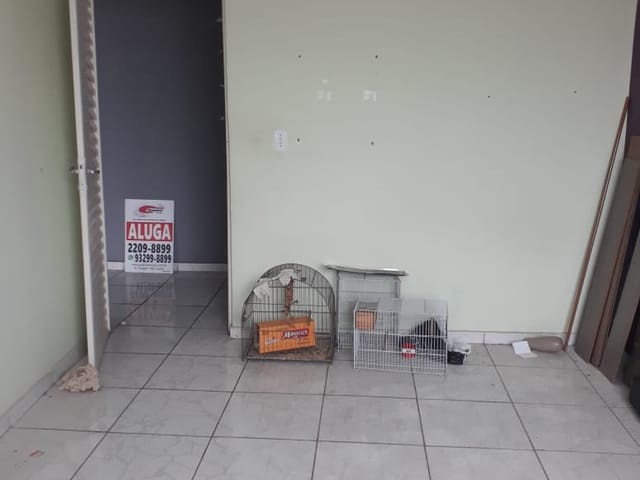 Sala para alugar, no bairro Vila Gustavo em São Paulo