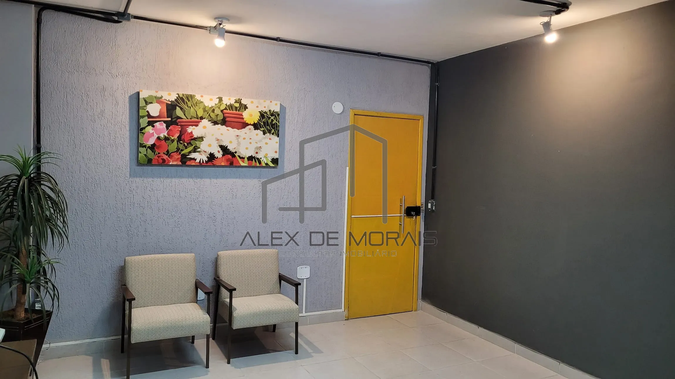 Sala-Conjunto, 240 m² - Foto 3