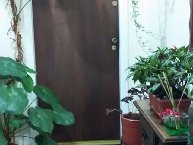Sala com 12m², para alugar, no bairro Cambuci em São Paulo
