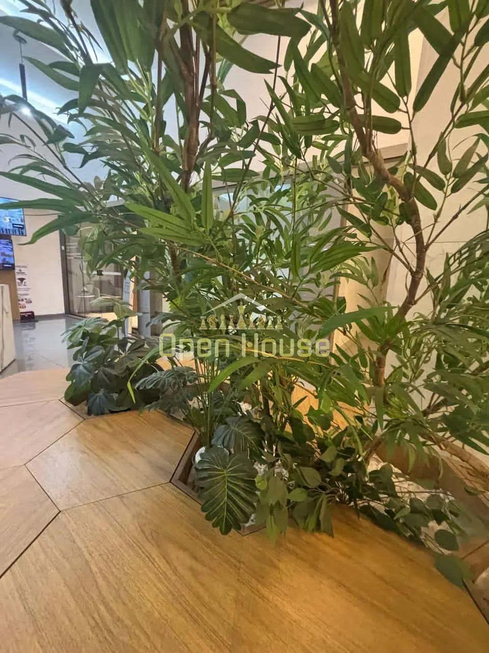 Sala-Conjunto, 38 m² - Foto 2