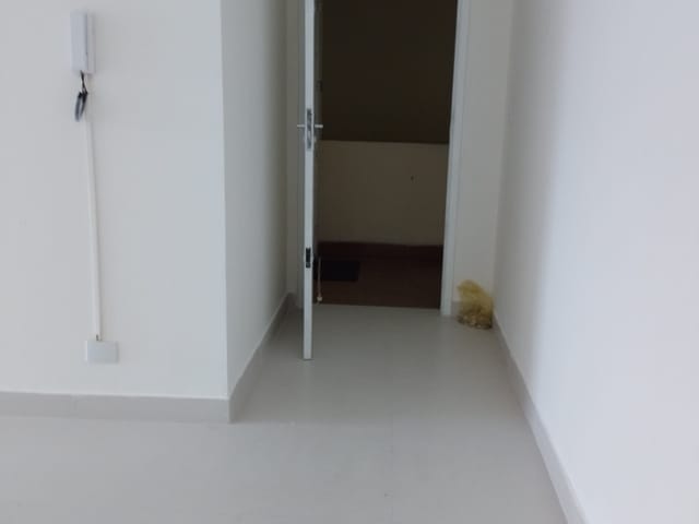 Sala para alugar, no bairro Vila Carrão em São Paulo