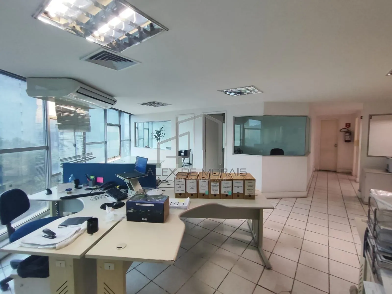 Sala-Conjunto, 250 m² - Foto 10