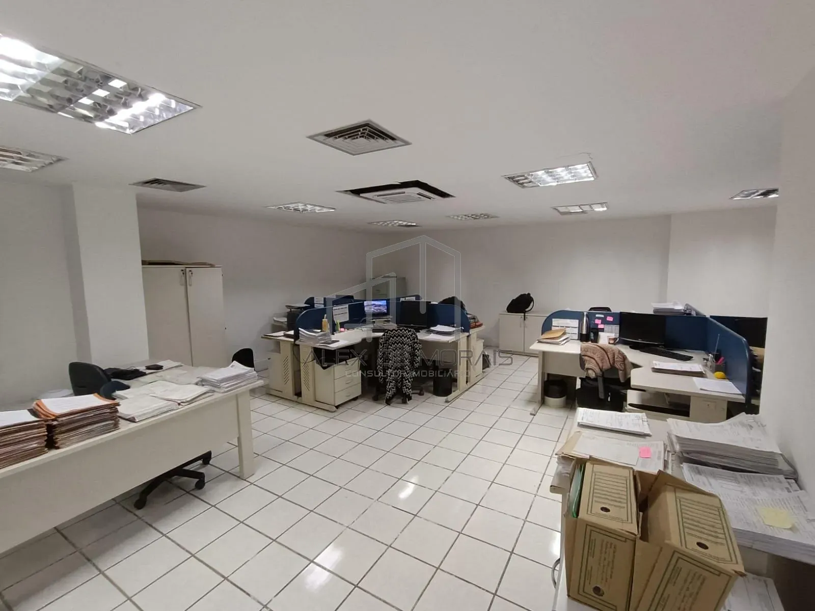 Sala-Conjunto, 250 m² - Foto 6