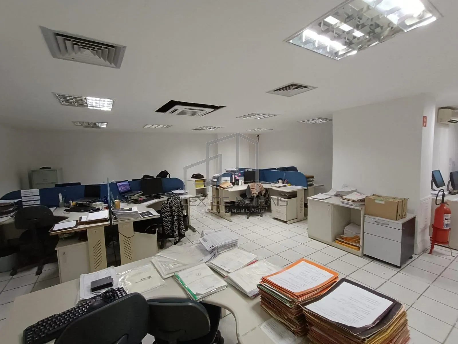 Sala-Conjunto, 250 m² - Foto 12