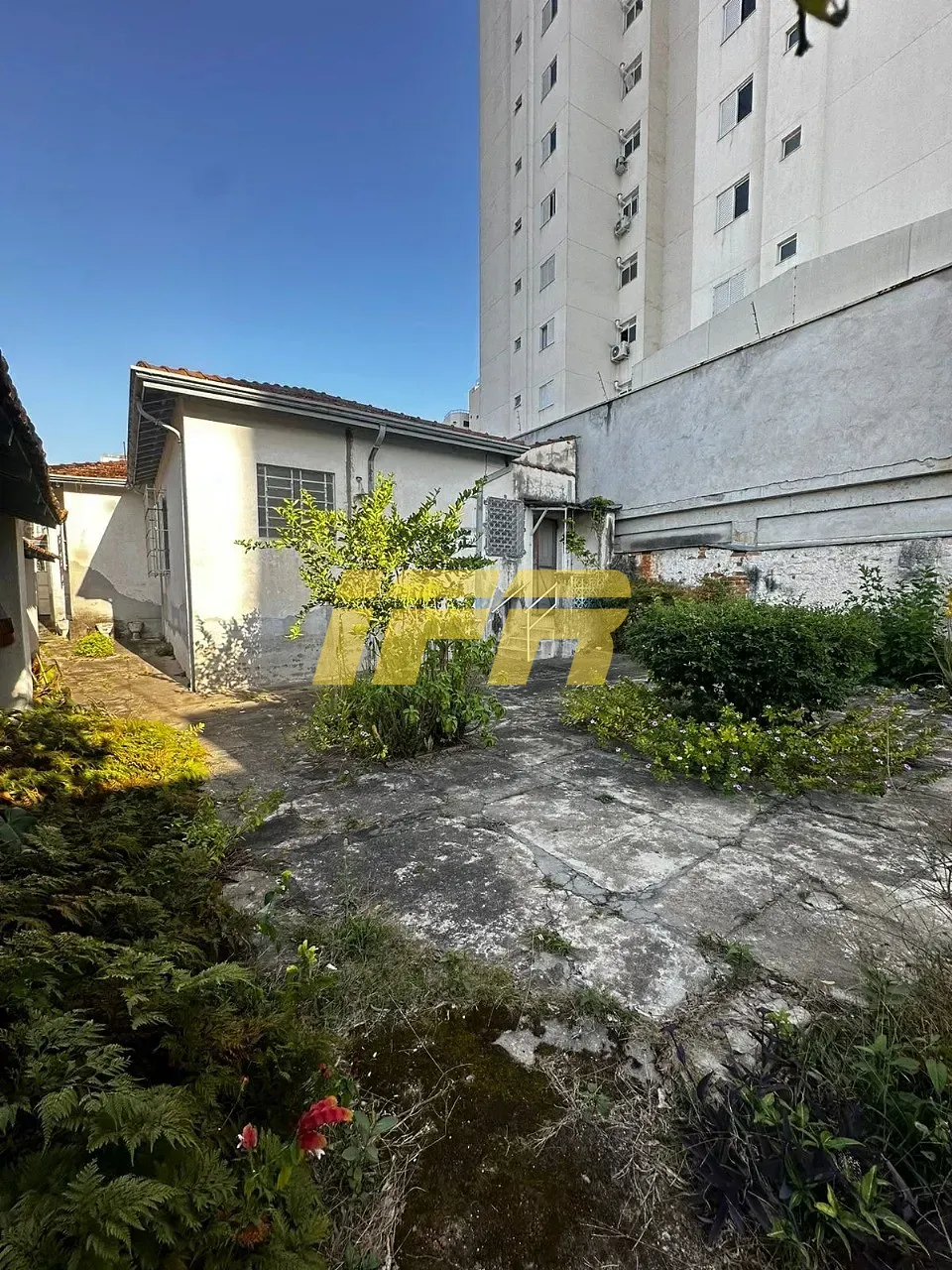 Sala-Conjunto, 480 m² - Foto 3