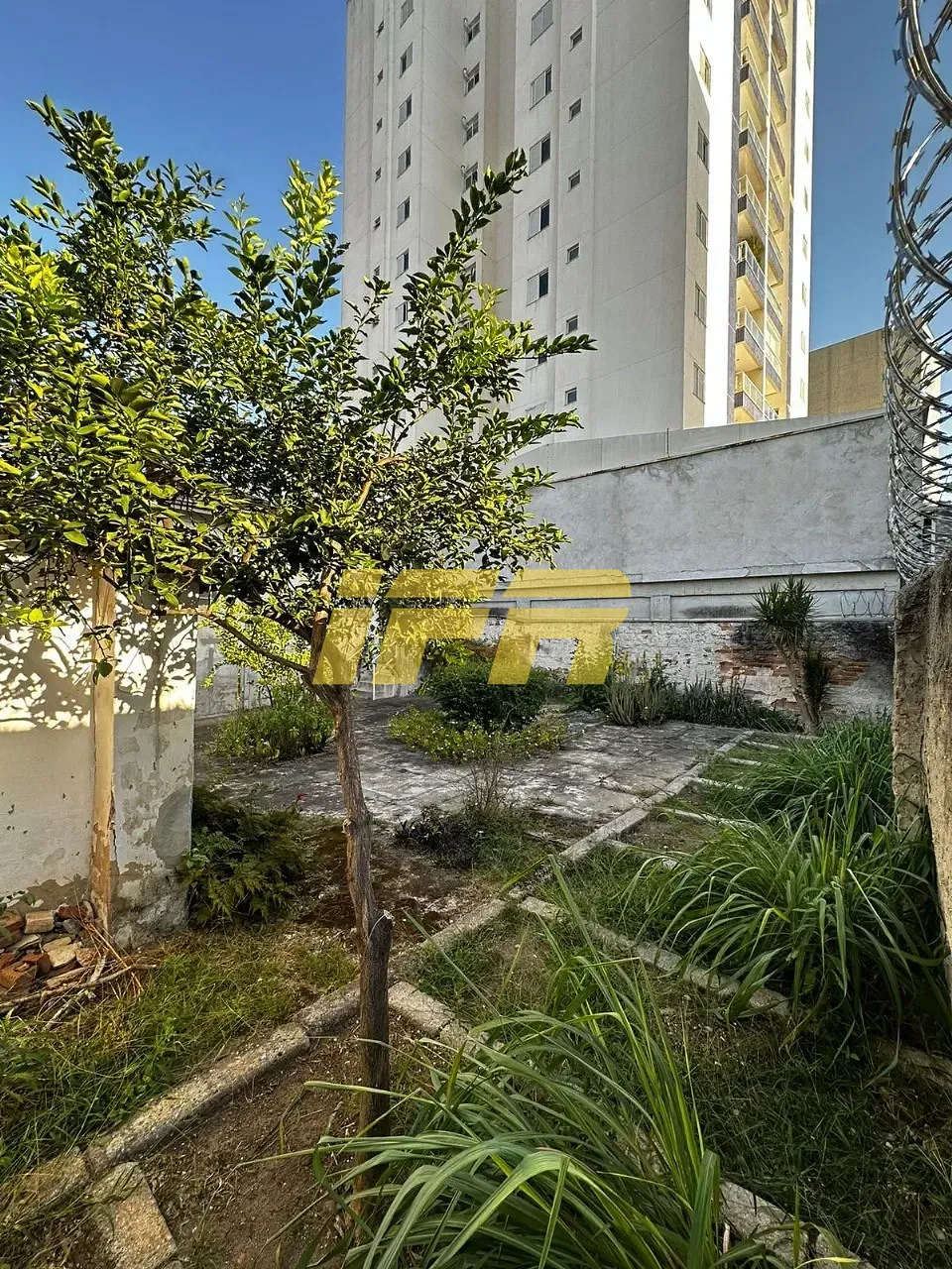 Sala-Conjunto, 480 m² - Foto 5