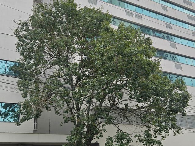 Sala à venda, no bairro Santa Maria Goretti em Porto Alegre