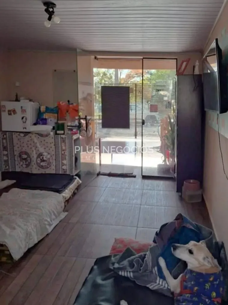 Apartamento, 264 m² - Foto 24