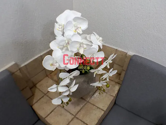 Sala para alugar, no bairro Vila Tamandare em Ribeirão Preto