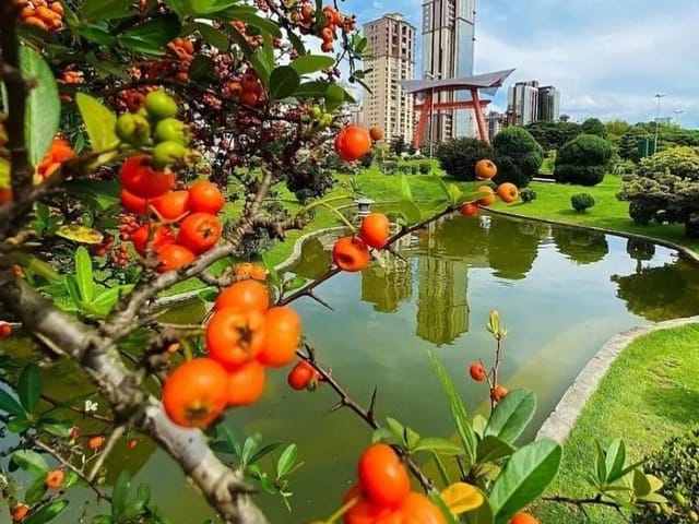 Foto do Sala - Sala à venda, 60 m² por R$ 570.000,00 - Jardim Aquarius - São José dos Campos/SP | INDEPENDENCE NEGOCIOS IMOBILIARIOS LTDA