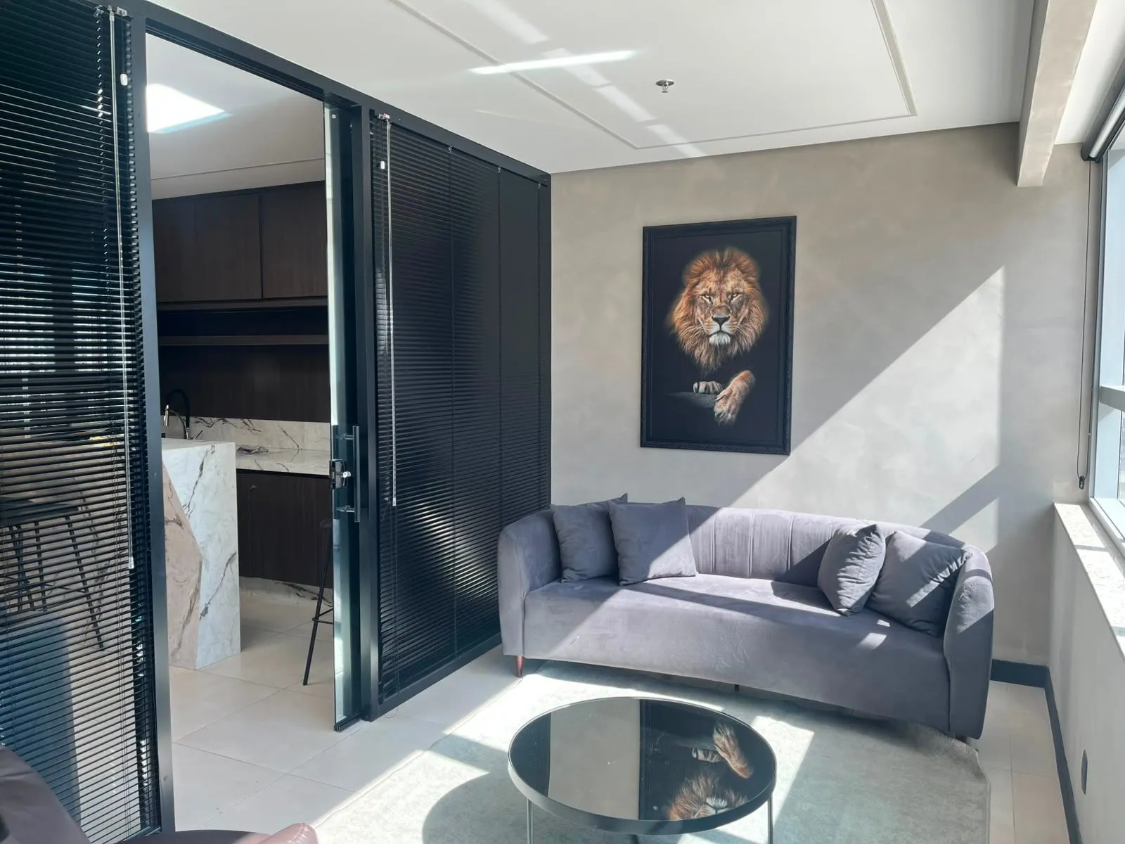 Sala-Conjunto, 212 m² - Foto 14