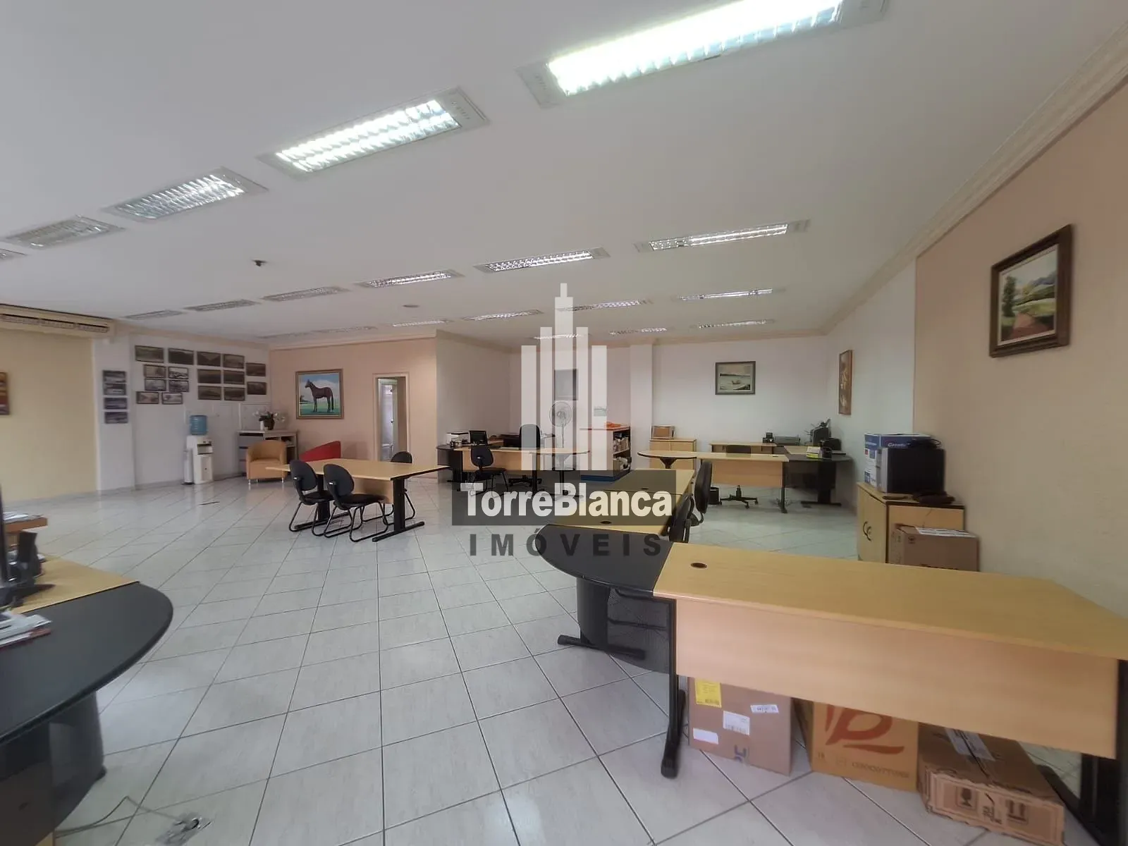 Sala-Conjunto, 195 m² - Foto 7