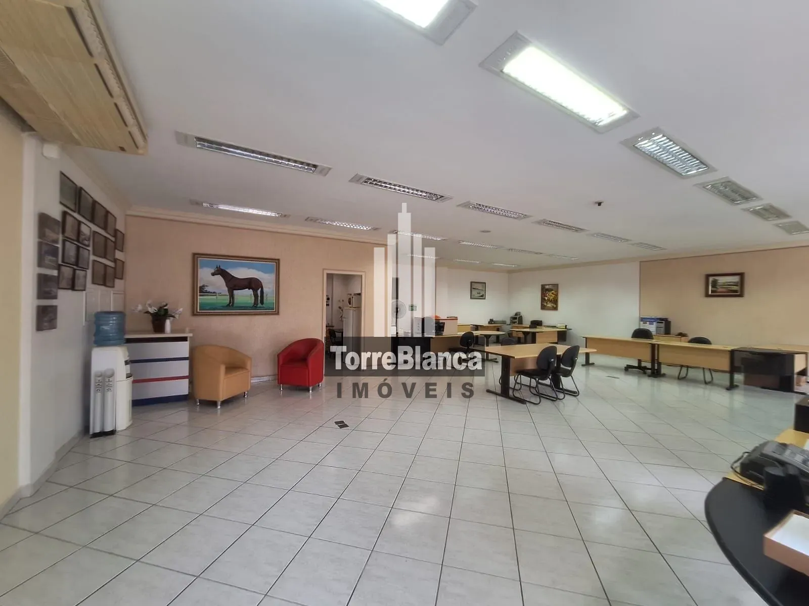 Sala-Conjunto, 195 m² - Foto 3